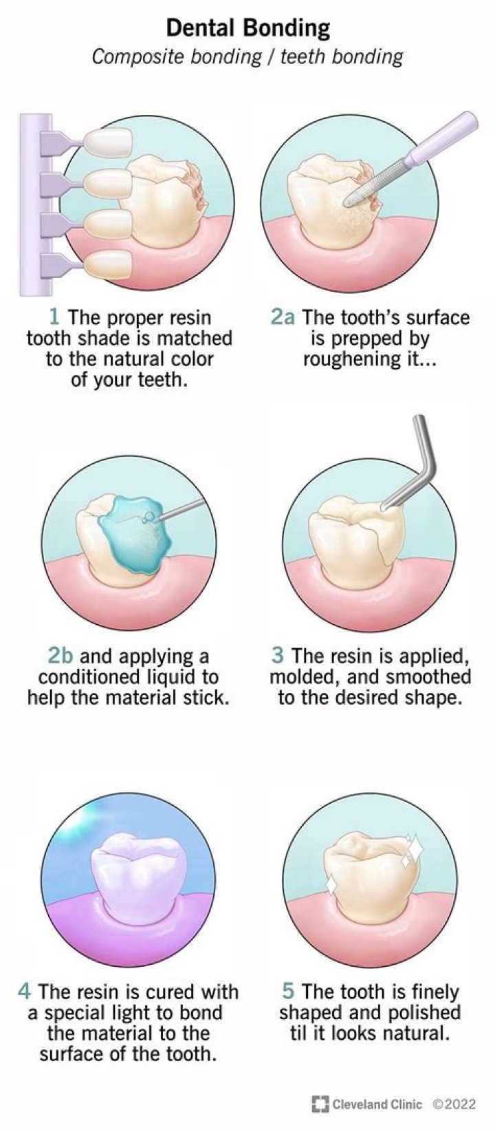 A Guide To Bonding And Affection