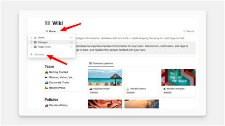 A Wiki Bio Filled With Insights