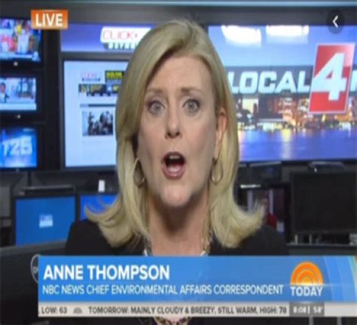 American journalist, Anne Thompson is living a single life and seems happy on it.