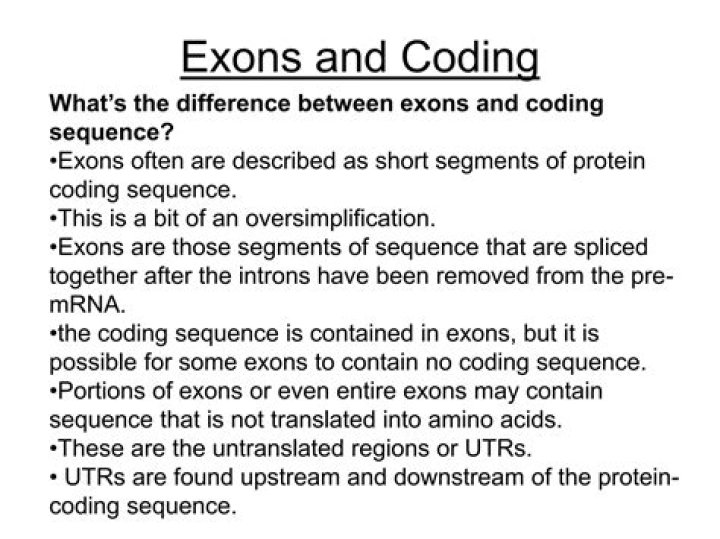 Decoding The Difference Between Exons And Introns