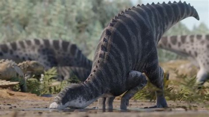 Discoveries In Bud Cort's Life And Legacy