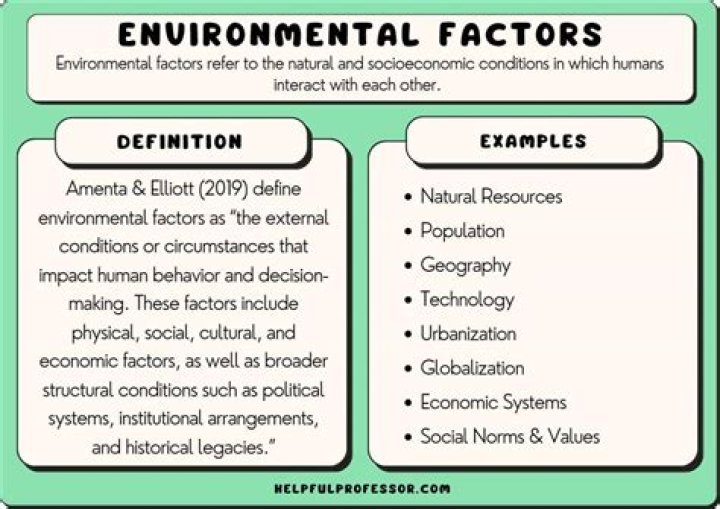 Explore The Factors And Implications