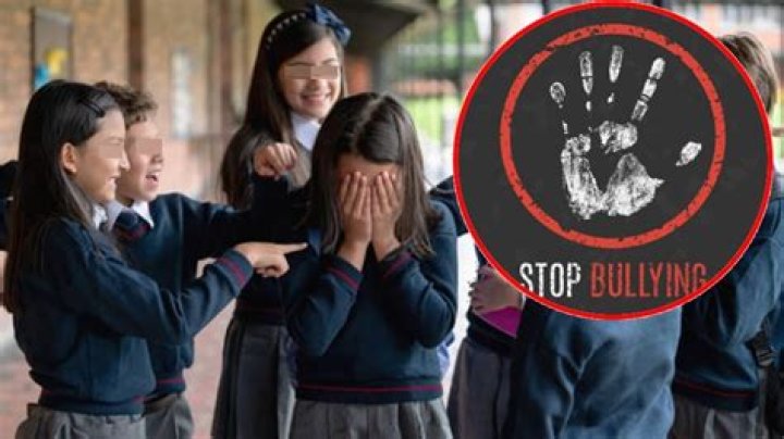 Insights Into The "Norma Lizbeth Bullying Video Viral"