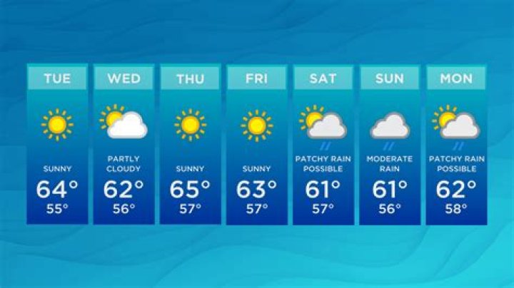 Is Lauren Verno Leaving Wjxt? Here's The Truth