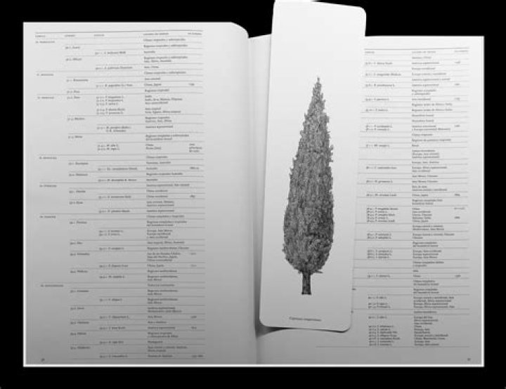 The Architect Of Eagles' Success