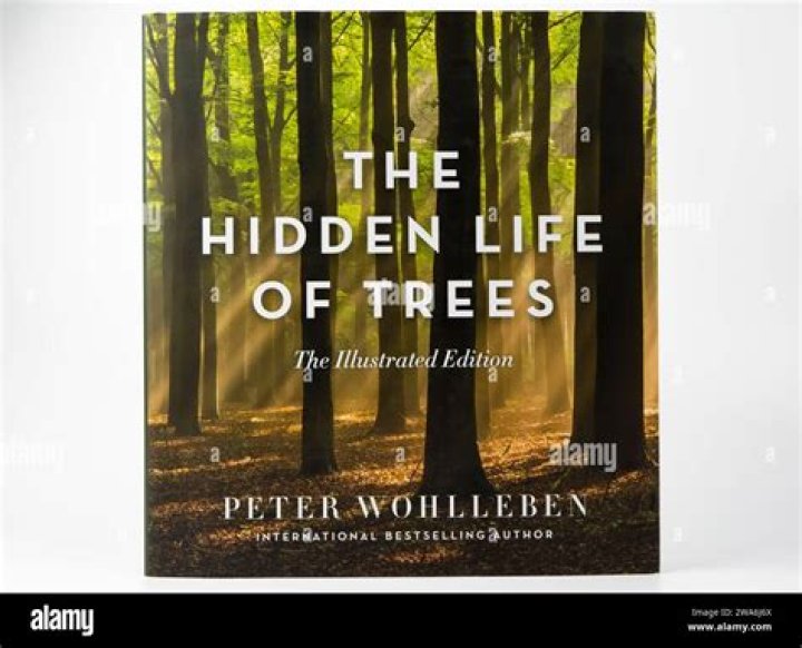 Uncovering The Hidden Life Of Leigh Holland Keen's Inspiring Husband