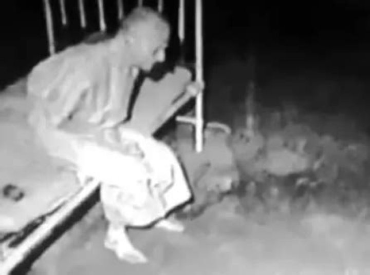 Unveiling The Enigmatic "Abigail Western Age": Discoveries And Insights Await